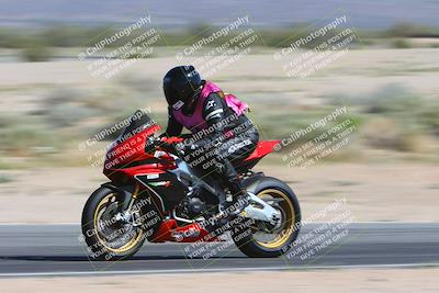 media/Apr-13-2024-SoCal Trackdays (Sat) [[f1617382bd]]/1-Back Straight Speed Pans (930am)/